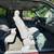 2005 FORD F-350 MECHANIC SPECIAL - CLEAN TITLE 17 thumbnail