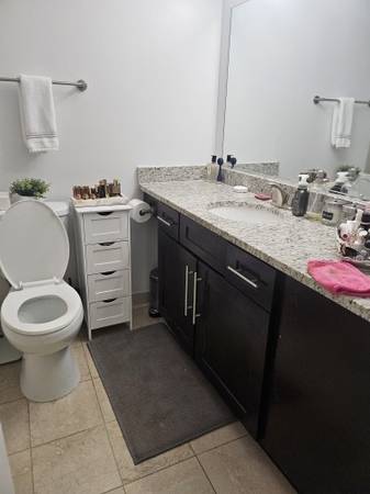 $2,593 / 1br - 860ft2 - Streeterville 1BR con balcón y vista al Navy Pier – Subarriendo de noviembre a mayo (Streeterville)63781351448449123