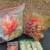 Special Occasion Gift Bags & Tissue Paper 15 thumbnail