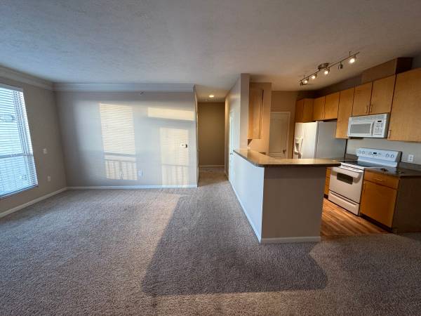 $1,185 / 2br - Spacious 1bed 1bath available NOW! Amazing Amenities! RENT SPECIAL!64021009803393123