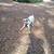 Pet Related Housing Issues? Pet / Sitting / Boarding short/long term 20 thumbnail