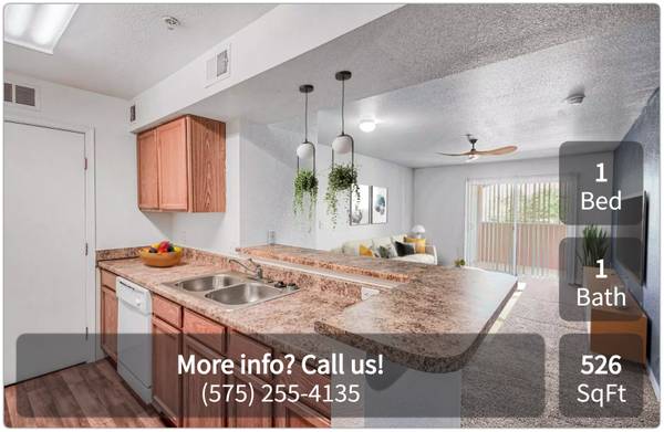 $845 / 1br - 526ft2 - Where memories are made: Experience our spacious 1 BR. (Las Cruces)63867374061187121