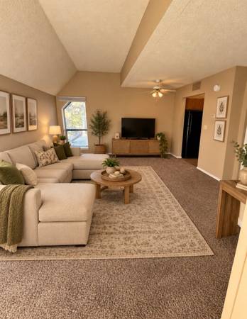 1 bed Apartment 1