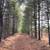 10 Wooded Acres Near Wisconsin Dells 17 thumbnail