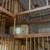 Spray Foam Insulation 9 thumbnail
