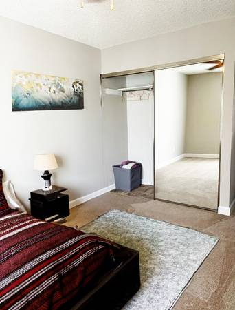 $1,800 / 1br - 650ft2 - 1 Bedroom 1 Bath Everything You Need. All Right Here At Castilian!!! (concord / pleasant hill / martinez)63687441159425124