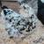 Ermine Ameraucana 2 thumbnail