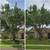 Tree trimming/ Landscaping/ leaf cleaning 19 thumbnail