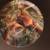 Plates 4 thumbnail