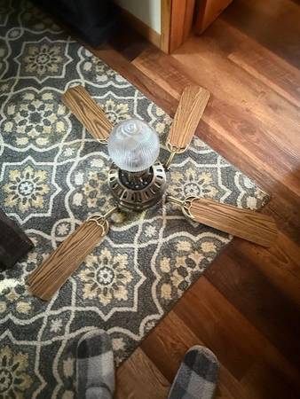 Ceiling Fan   **FREE** 1