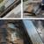 👋H A N D Y M A N🚩33+YExp✅️Home/Bus🚩PaintPlumbElectDoorWindwRoof✅ 17 thumbnail