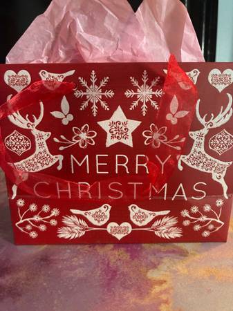 Christmas Bag with Versace Versense 1