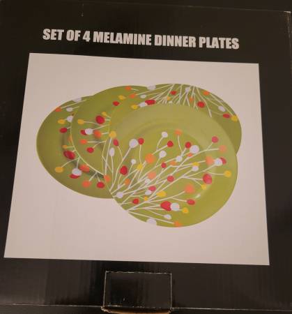 DINNER PLATES-NEW IN BOX 1