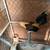 Roosters 2 thumbnail