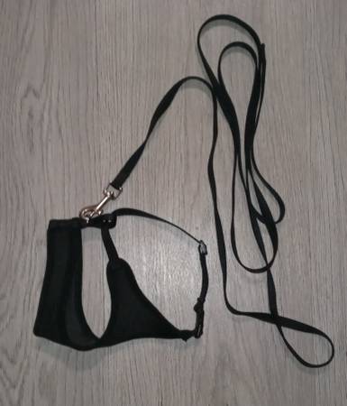 Pet Harness and Leash - Small  - Tiny Dog, Kitten 1