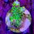 High End Coral frags for sale (SPS, LPS, Zoas) 5 thumbnail