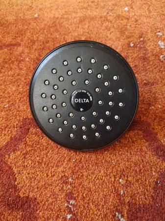 Delta shower head 1