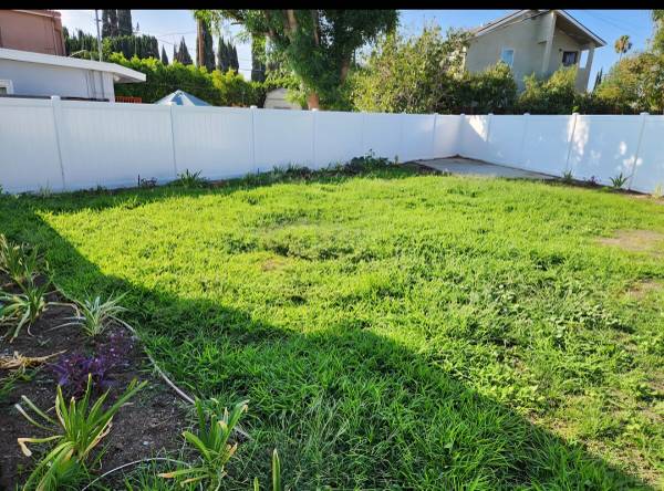 $3,750 / 2br - 970ft2 - ¡Hermosa casa remodelada con amplio patio disponible ahora! (Encino)63857625009281122