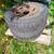 3 toyota rims 2 with tires 1 thumbnail
