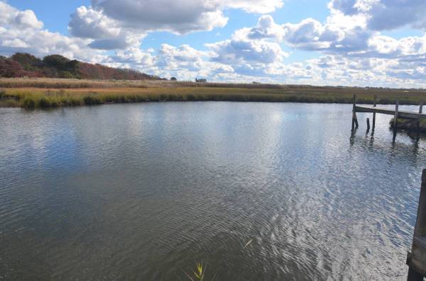 Land for sale - waterfront 1