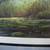 Framed limited edition print "Green Winged Teal" 3 thumbnail