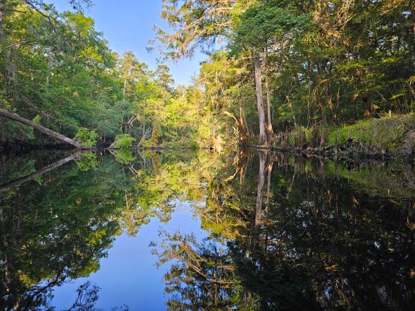 $850 / 1br - 900ft2 - Large 1 Bdrm w Office on LakeFront w/ River Access ,  Peace & Quiet (high springs)63822863966339120