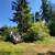 Brush Clearing, Underbrush thinning, Forestry Mulching 🌱🌿 22 thumbnail