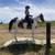 Paint mare 7 thumbnail
