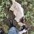New Zealand kiko buckling goats 9 thumbnail