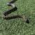 Jungle Carpet Python 2 thumbnail