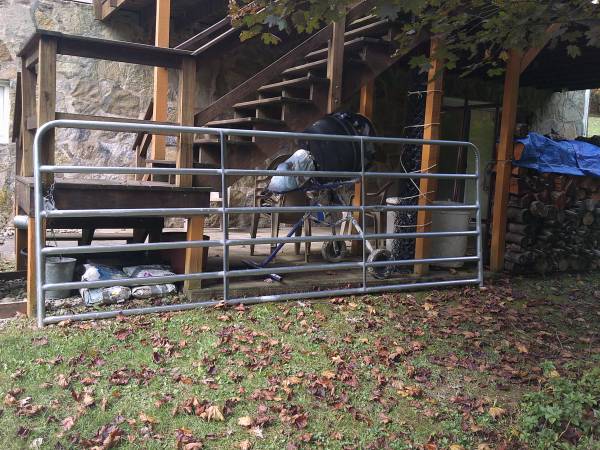 12 Foot Galvanized Gate 1