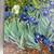 Large Van Gogh Irises Print on Canvas 30 x 24 2 thumbnail