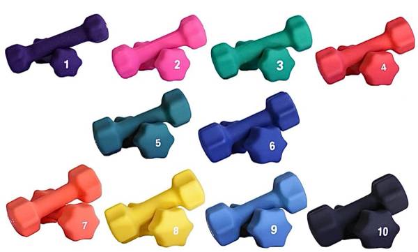 Neoprene Coated Cast Iron Dumbbells 1