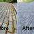Exterior fall clean-up 21 thumbnail