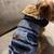 Mexican Zarape coat for doggie 3 thumbnail