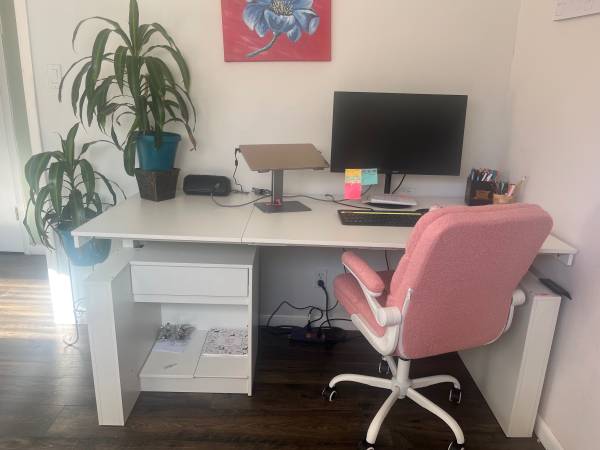 Electric Standing Desk (Brand New) 1