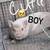 Mini Potbellied Pigs 3 thumbnail