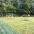 Dog agility equipment 3 thumbnail