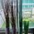 Glass Cylinder Vases with Fake Grass, Bamboo, Dried Sticks, Rocks 2 thumbnail