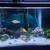 Aquarium 3 thumbnail