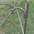 Vintage Iron & Knotty Pine Console - Sofa Table 4 thumbnail