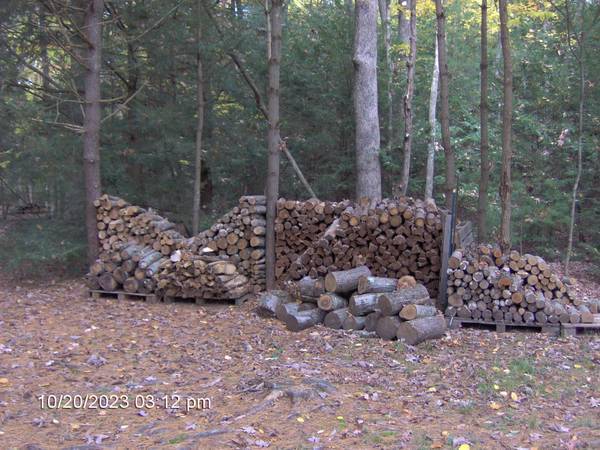 FIREWOOD / CAMPING 1