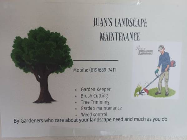 Juan landscaping 1