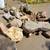 Landscaping Boulders 3 thumbnail