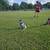 Texas heeler 2 thumbnail