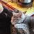 RUSSIAN BLUE KITTENS/ORANGE TABBY 8 thumbnail