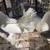 pigeons 5 thumbnail