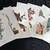 Audubon-18 Best Loved Bird Paintings 2 thumbnail
