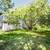 Historic Victorian Farmhouse, 1bd/+office 21 thumbnail