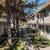 One Bed w $500 OFF YOUR MOVE // Convenient - Walkable - Pet Friendly 11 thumbnail